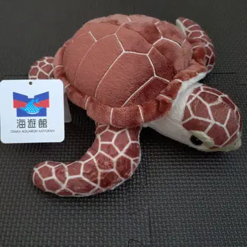 카이유칸 바다거북 봉제 인형