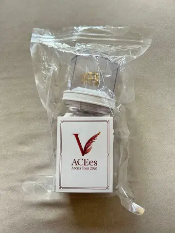 ACEes Arena Tour 2026 V 응원봉