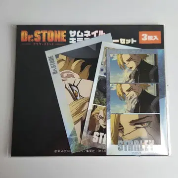 Dr.STONE 썸네일 키라 스티커 세트 스탠리