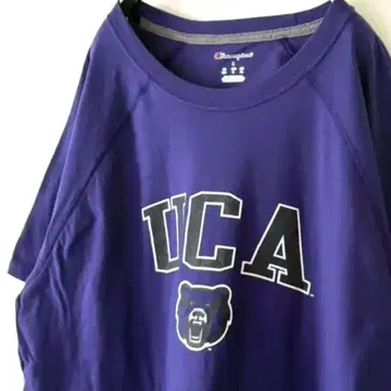 챔피온 UCA 센트럴 아칸소 대학교 베어스 T셔츠 L 보라색 구제 의류