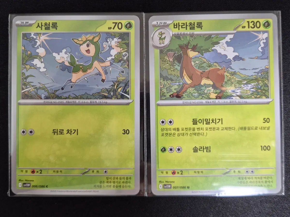 포켓몬 카드 사철록 바라철록 2장 세트