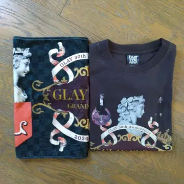 GLAY EXPO GF 콜라주 T셔츠 S사이즈 x 페이스 타월 2세트