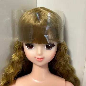 에리카 오타노시미 인형 리카짱 캐슬 제니 프렌드 인형