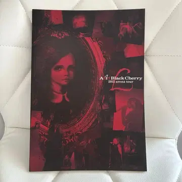 [ 새상품급 ] AcidBlackCherry tour L 팜플렛