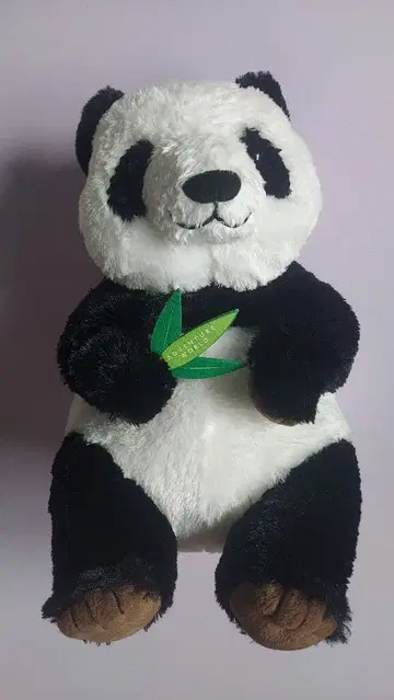 ADVENTURE WORLD 팬더 봉제 인형