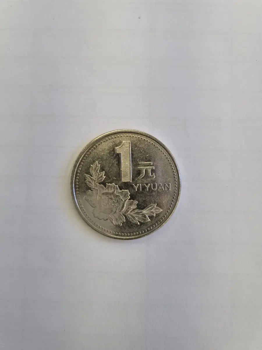 중국 1위안 동전