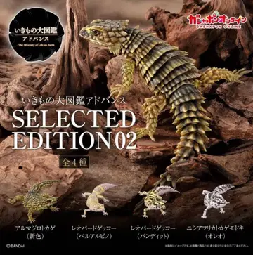 생물대도감 어드밴스 SELECTED EDITION 02 컴프 세트
