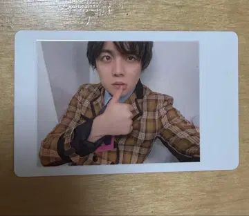 팬더드래곤 나기 하피카 파라곤