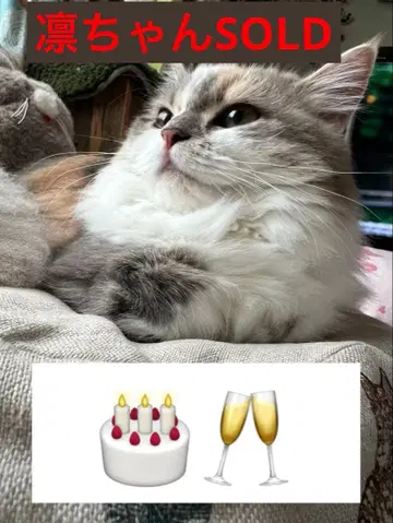 린쨩 생일 팔찌