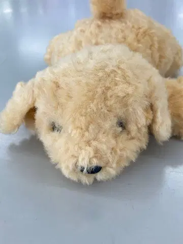 몽슈슈 봉제 인형 강아지 푸들 파프스