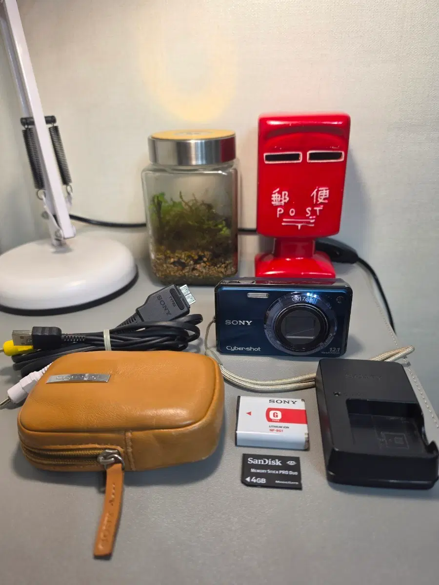 소니 사이버샷 DSC-W290 디지털 카메라