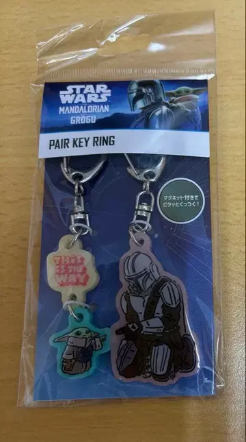 STARWARS 만달로리안 앤 그로구 페어 키링 2
