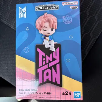 TinyTAN DNA 모니터 탑 피규어 RM