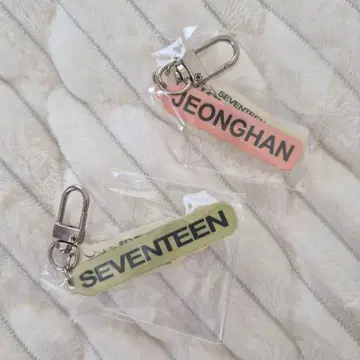 SEVENTEEN 정한 JEONGHAN 가챠 아크릴 키링