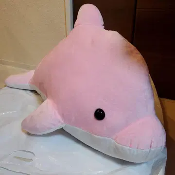 돌고래 핑크 에브리데이 한정판 봉제 인형 L 빅 사이즈