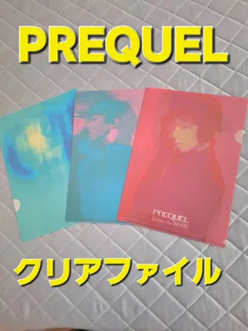 하뉴 유즈루 PREQUEL Before the WHITE 클리어 파일 3매