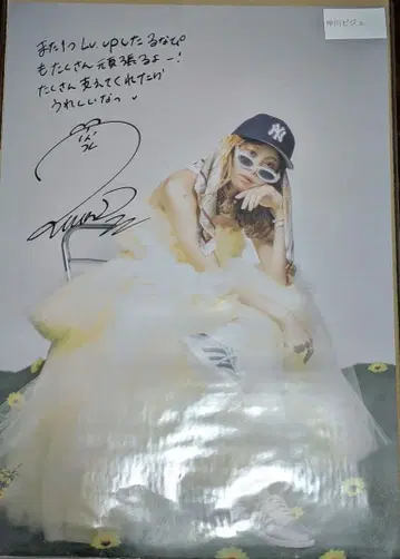 FRUITSZIPPER 나카가와 루카 온특 A3 포스터 2장