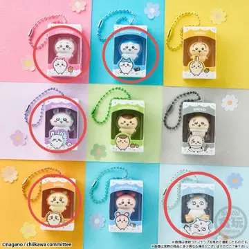 치이카와 초코 박스 5종 세트