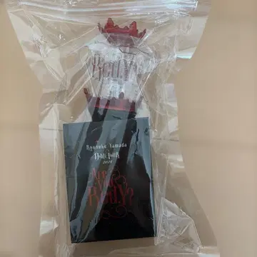 야마다 료스케 돔 Are You Red.Y? 응원봉