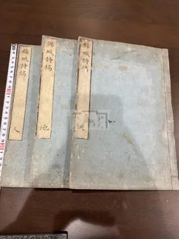 금성유고 삼권 3책 세트 화본 당본 한적 선장 한시 한문