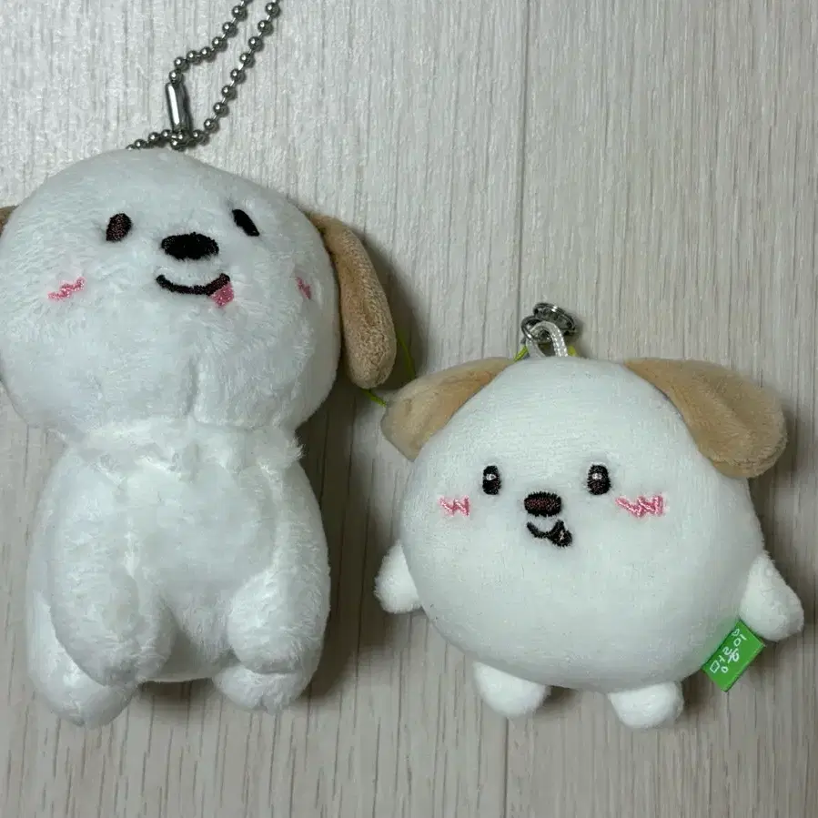 라이즈 앤톤 멍룡이 1기 인형