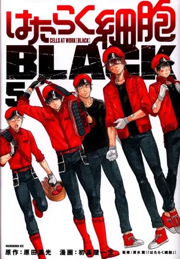 코단샤 모닝 KC 하츠요시 이치세이 일하는 세포 BLACK 5