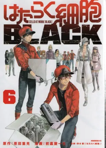코단샤 모닝 KC 하츠요시 이치세이 일하는 세포 BLACK 6