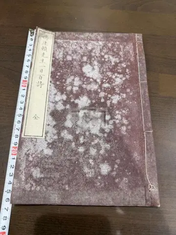 압애뢰선생일일백시 1도서 화본 당본 한적 선장 한시 한문