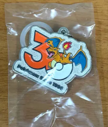 포켓몬 30주년 메탈 참 메지루시 액세서리 리자몽