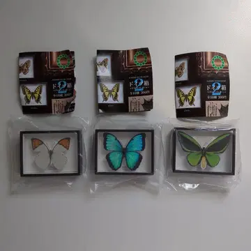 독일 상자 마그넷 컬렉션 2