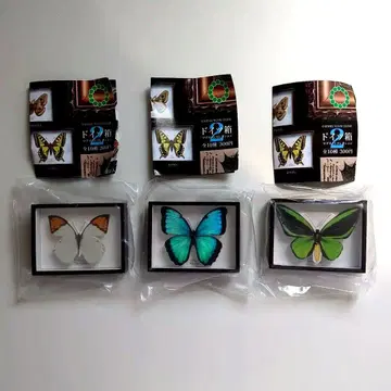 독일 상자 마그넷 컬렉션 2