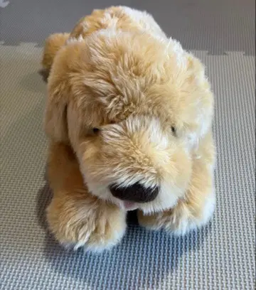 오늘 한정 가격 골든 리트리버 봉제 인형