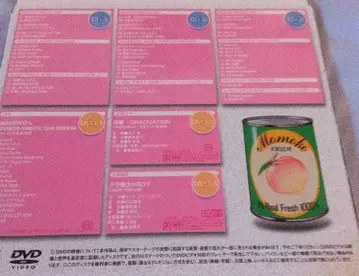 키쿠치 모모코 퍼스트 무도관 라이브 DVD 1985년 2월 3일 일본 무도관
