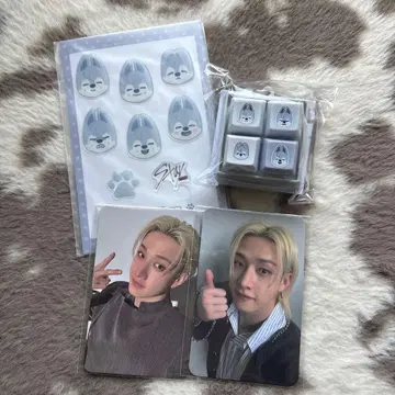 straykids 스키즈 온라인 복권 방찬