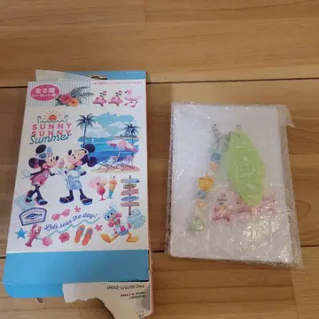 Disney SUNNY SUNNY SUMMER 키링 칩데
