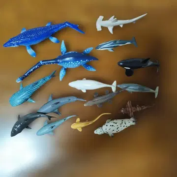 바다 생물 세트