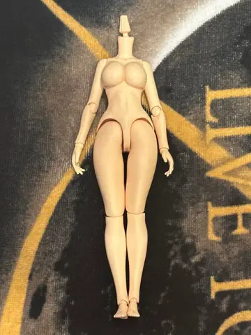 AZONE Q'zBODY M/I 사이즈