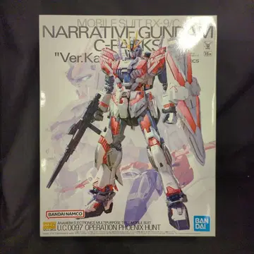 BANDAI SPIRITS MG 1/100 기동전사 건담 NT 내러티브 건담 C장비 Ver.Ka