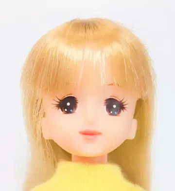 제니 일본제