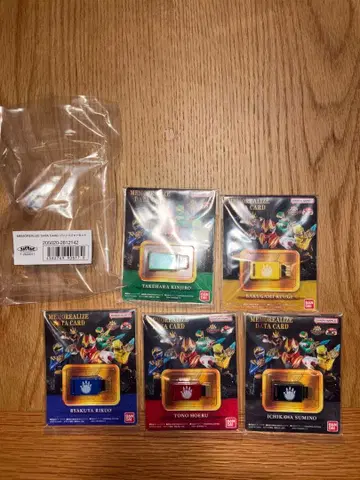 MEMOREALIZE DATA CARD 고주우저 세트