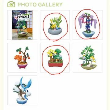 포켓 BONSAI3 피카츄&메슨 가라르도도 가라르도도 3종 세트