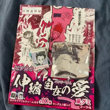 HUNTER x HUNTER 아크릴 참 히소카 곤