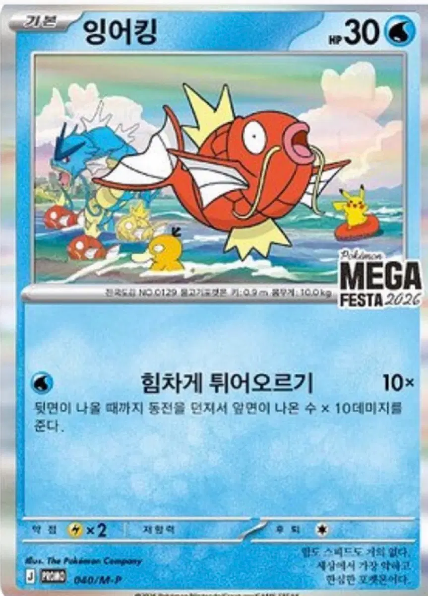 포켓몬카드 잉어킹 프로모 개봉 구매합니다