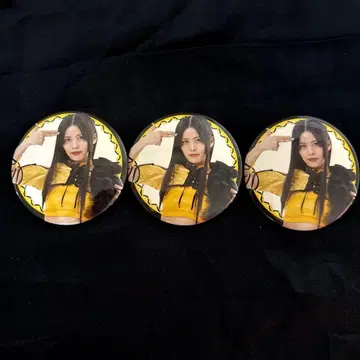 아이바 아이나 하리마 유키 프로레슬링 캔뱃지