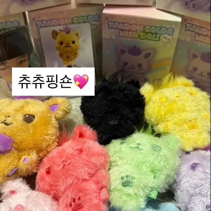 컬러위시돌시오닝시온