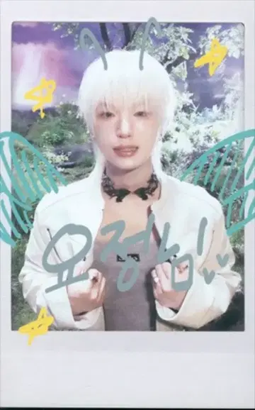 &TEAM Weverse Album ver. HARUA Back to Life 폴라로이드