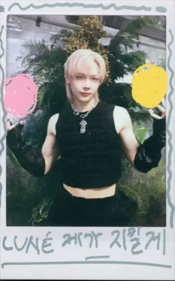 &TEAM Weverse Album ver. NICHOLAS Back to Life 폴라로이드