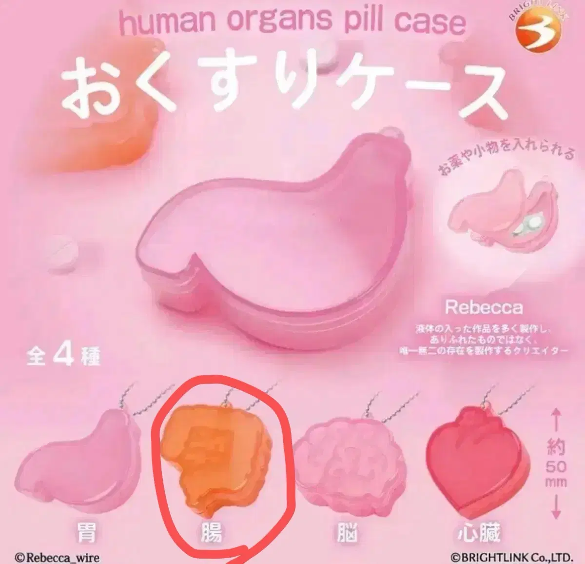 오쿠스리 장기 위장 약 케이스 보관함 가챠 (장)