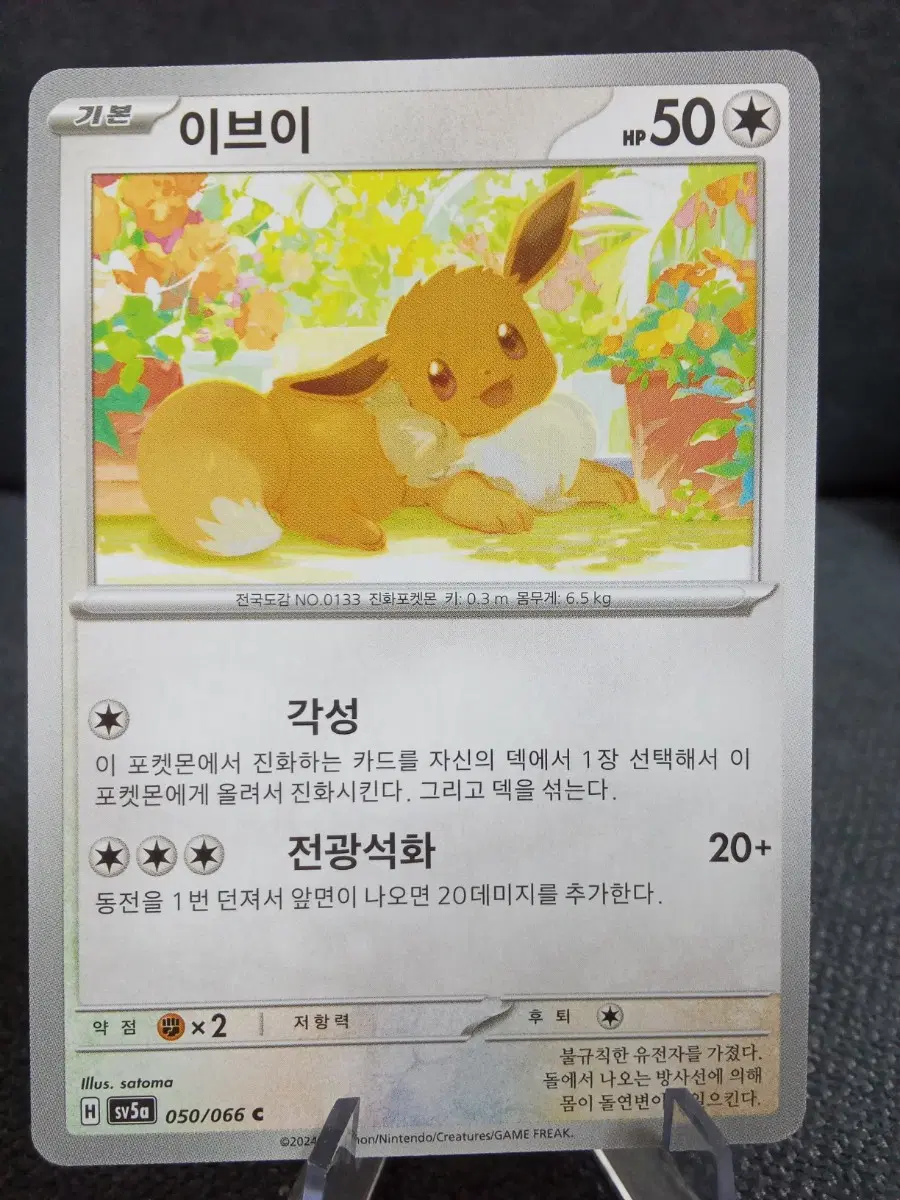 포켓몬 카드 이브이 sv5a 기본 050/066 C