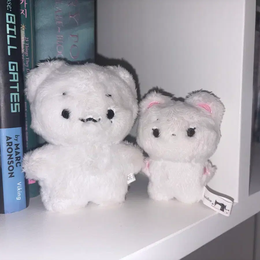 스키즈 비공굿 뽁야미 현뿌